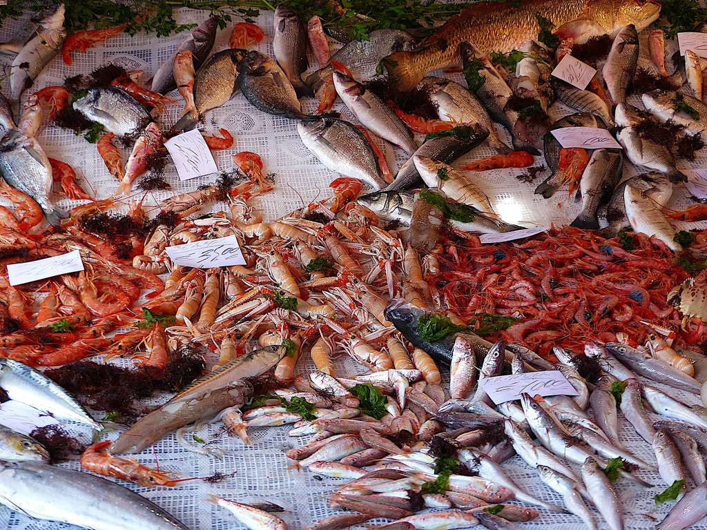 Fish at the Palermo market