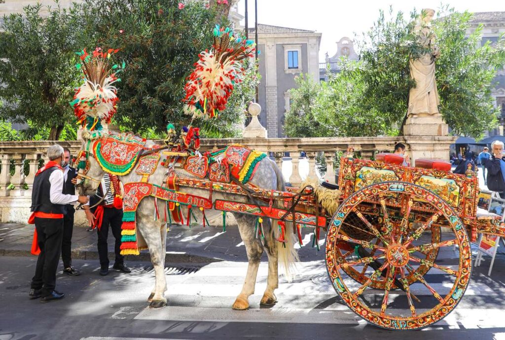 Sicilian cart experience Catania